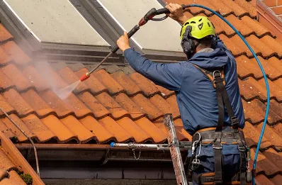 Démoussage et hydrofuge de toiture à Pied-de-Borne